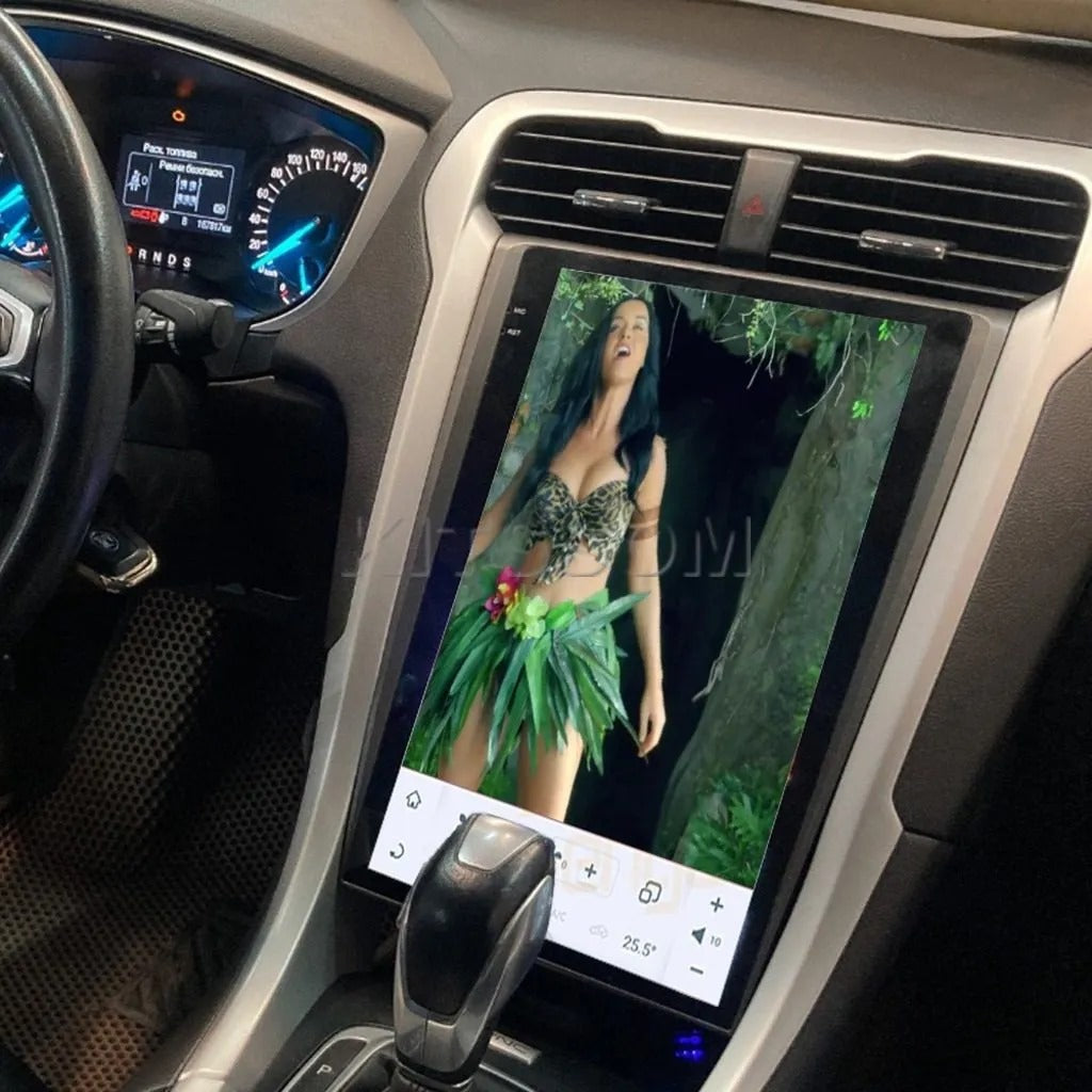 Multimidia fusion 14 15 16 17 Tesla 13.6”